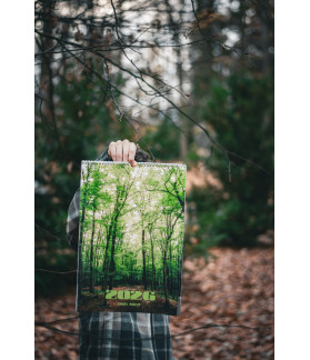 Nástěnný kalendář 2026 Samuel Roselli