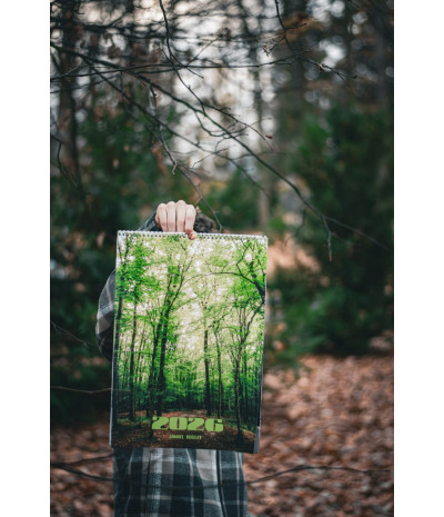 Nástěnný kalendář 2026 Samuel Roselli