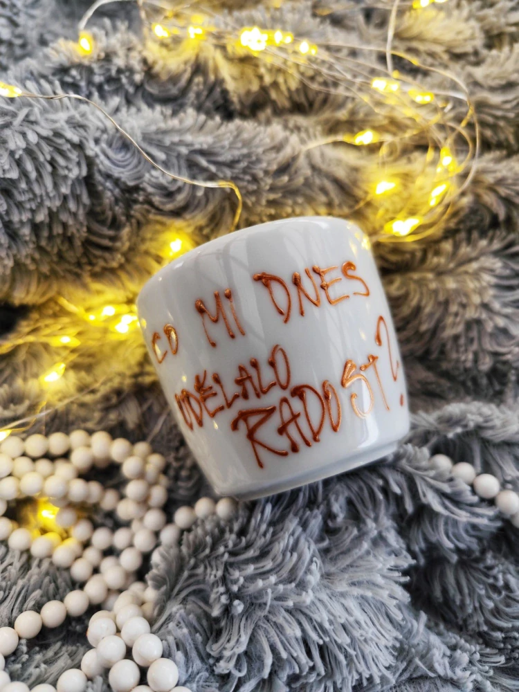 CO MI DNES UDĚLALO RADOST?